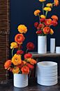 Design Shop Everest Pot 3"x 2.5", Set of 6