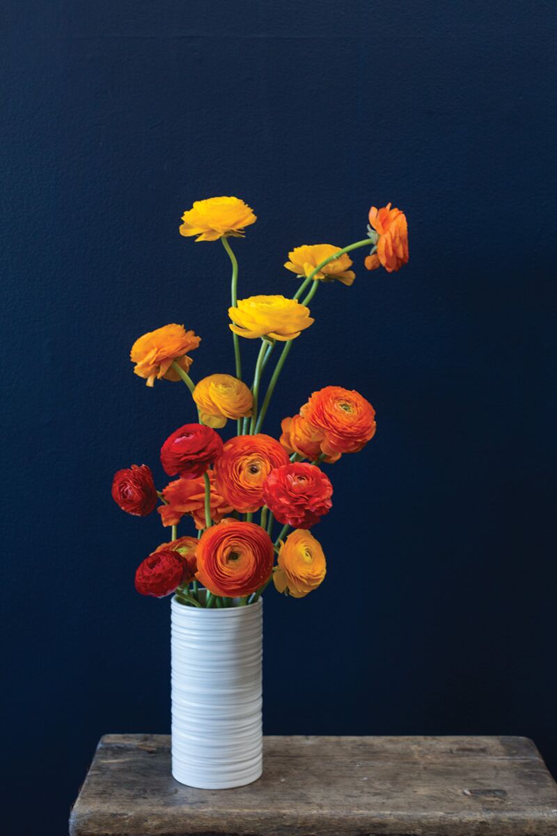 Design Shop Everest Vase 3.5"x 7", Set of 2
