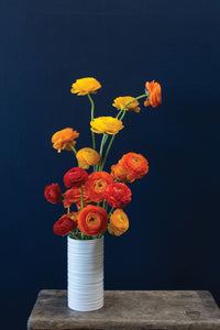 Design Shop Everest Vase 3.5"x 7", Set of 2