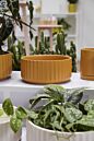 Design Shop Beam Bowl 8"x 3.5"