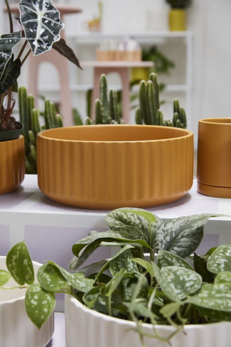 Design Shop Beam Bowl 10"x 4"
