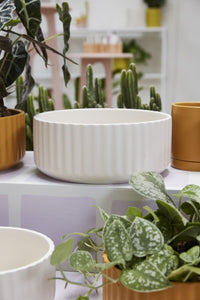 Design Shop Beam Bowl 10"x 4"