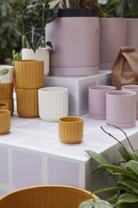 Design Shop Beam Pot 3.25"x 2.75", Set of 6
