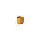 Design Shop Beam Pot 3.25"x 2.75", Set of 6