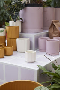 Design Shop Beam Pot 3.25"x 2.75", Set of 6