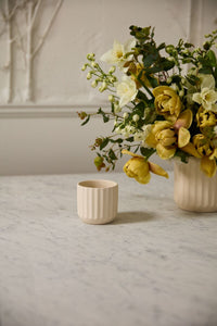 Design Shop Beam Pot 3.25"x 2.75", Set of 6