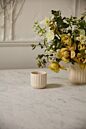 Design Shop Beam Pot 3.25"x 2.75", Set of 6