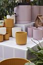 Design Shop Beam Pot 4.75"x 4.5", Set of 4