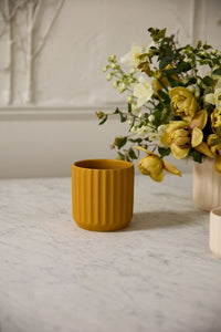 Design Shop Beam Pot 4.75"x 4.5", Set of 4