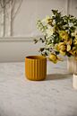 Design Shop Beam Pot 4.75"x 4.5", Set of 4
