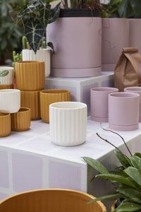 Design Shop Beam Pot 4.75"x 4.5", Set of 4