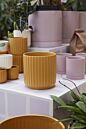 Design Shop Beam Pot 7"x 6.75"