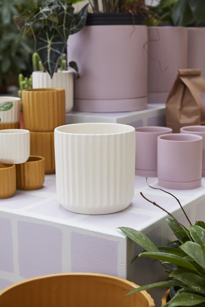 Design Shop Beam Pot 7"x 6.75"
