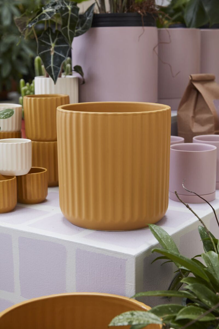 Yellow textured planter on a table with a blurred background