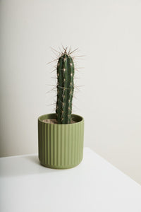 Design Shop Beam Pot 9.25"x 9.25"