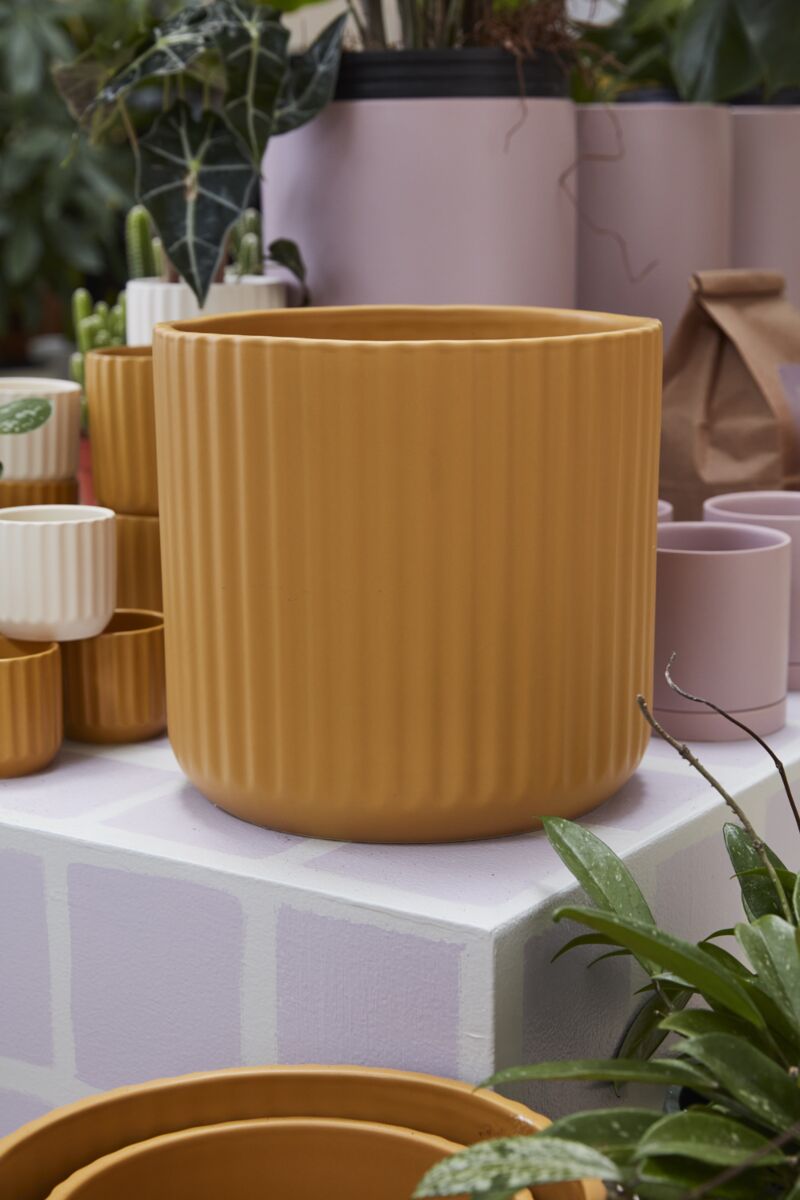 Design Shop Beam Pot 11.25"x 10.75"