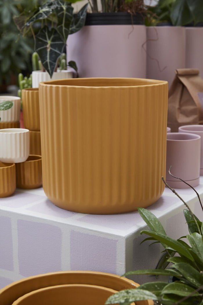 Yellow plant pot on a table with other pots and plants in the background