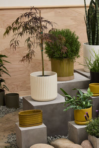 Design Shop Beam Pot 11.25"x 10.75"