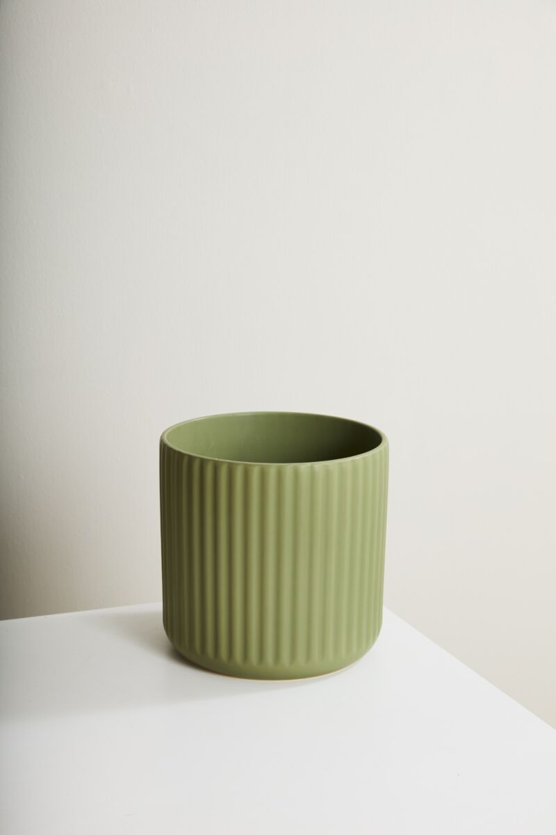 Design Shop Beam Pot 11.25"x 10.75"