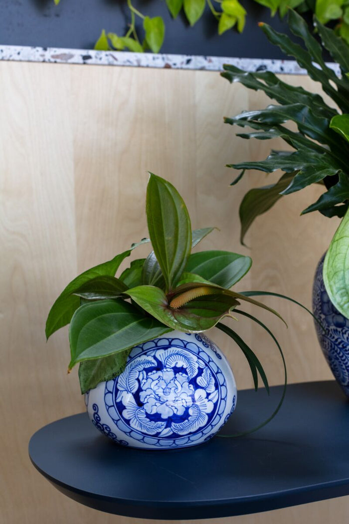 Design Shop Blue Eleanor Collection Vase, 6.25" X 4.75".