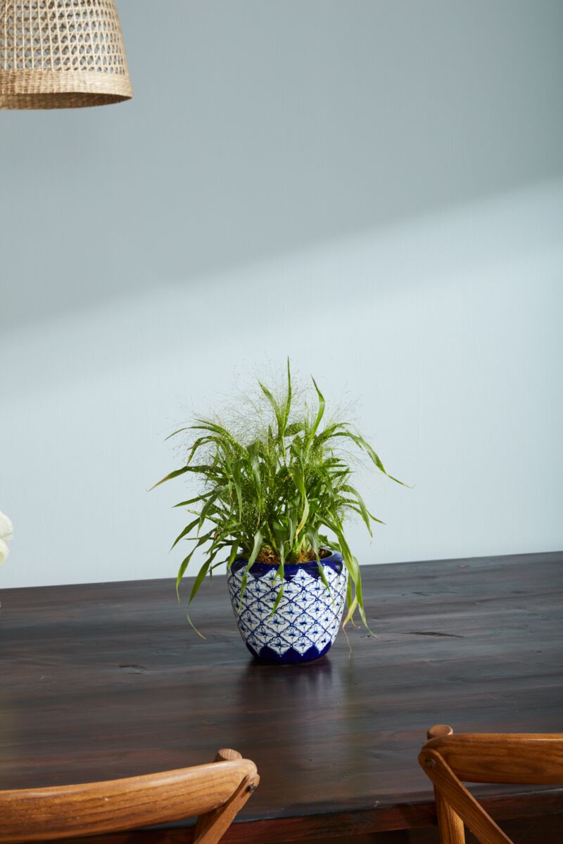 Design Shop Blue Eleanor Collection Pot, 7.25" X 6".