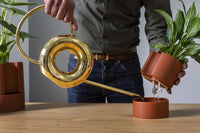 Design Shop Terracotta Jett Pot, 6" X 7"