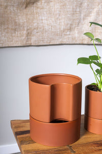 Design Shop Terracotta Jett Pot, 8" X 9".