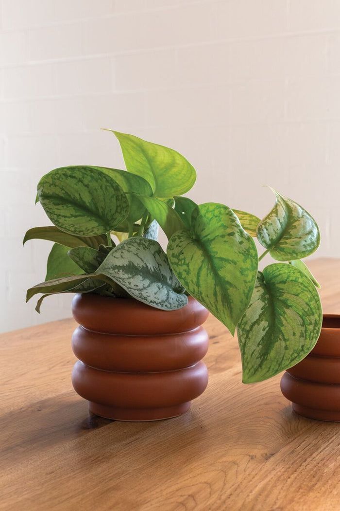 Design Shop Terracotta Motley Pot, 6" X 5", Set of 2.