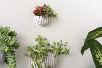 Design Shop Blue Wim Wall Planter, 3" X 1.5", Set of 4.