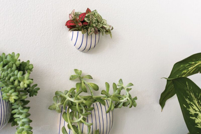 Design Shop Blue Wim Wall Planter, 3" X 1.5", Set of 4.