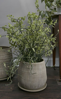 Design Shop Tan Holt Pot, 11.5" X 11"