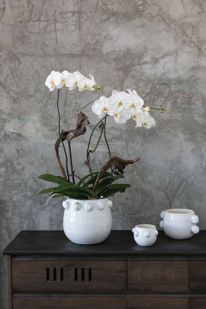 Design Shop White Fem Rosa Collection Pot, 5" X 3.5"