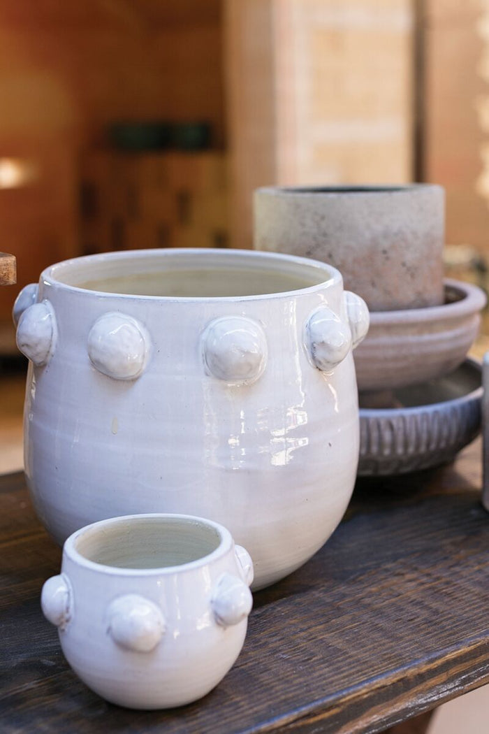 Design Shop White Fem Rosa Collection Pot, 10.5" X 9".