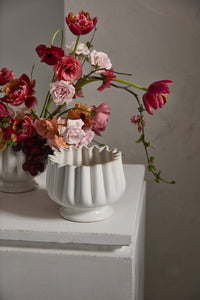 Design Shop Tulipa Compote 7.25"x 5.5", Set of 2