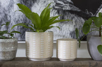 Design Shop Off-White Zati Pot Pot, 4.75" X 4.75", Set of 2.
