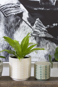 Design Shop Off-White Zati Pot, 6.5" X 6.5".