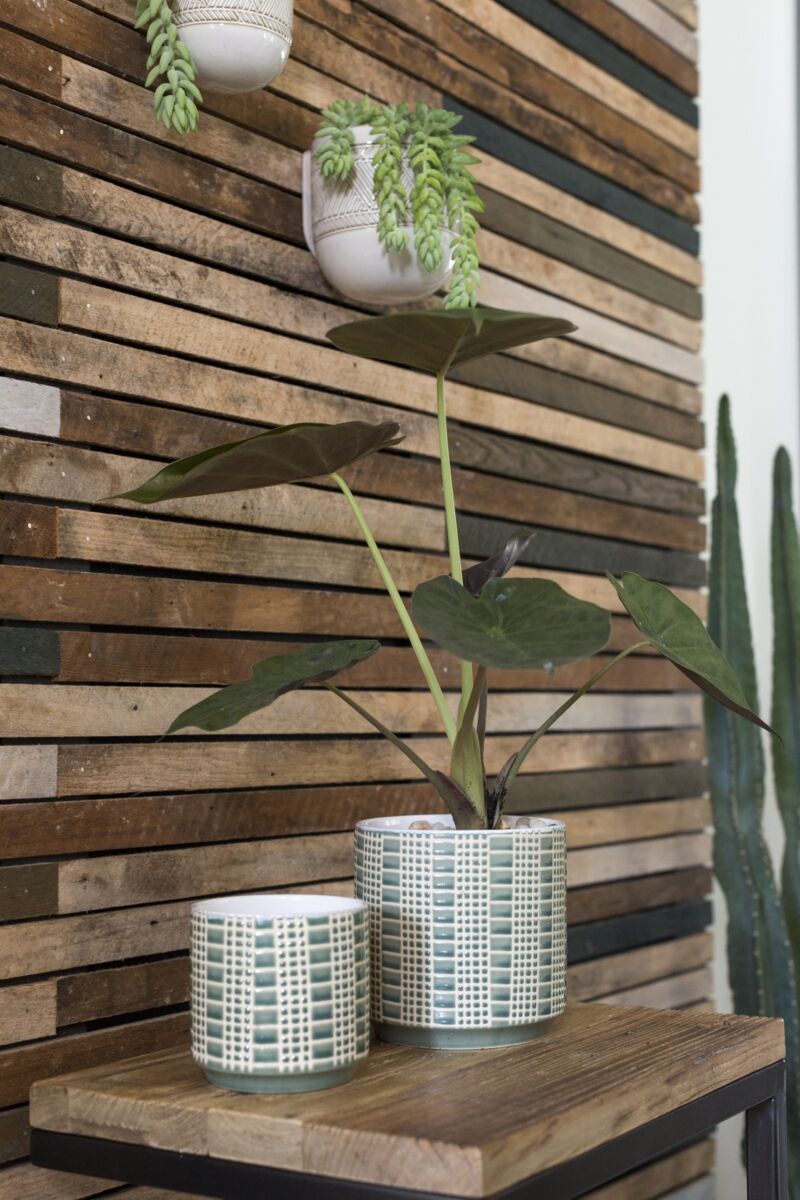 Design Shop Green Zati Pot, 6.5" X 6.75".