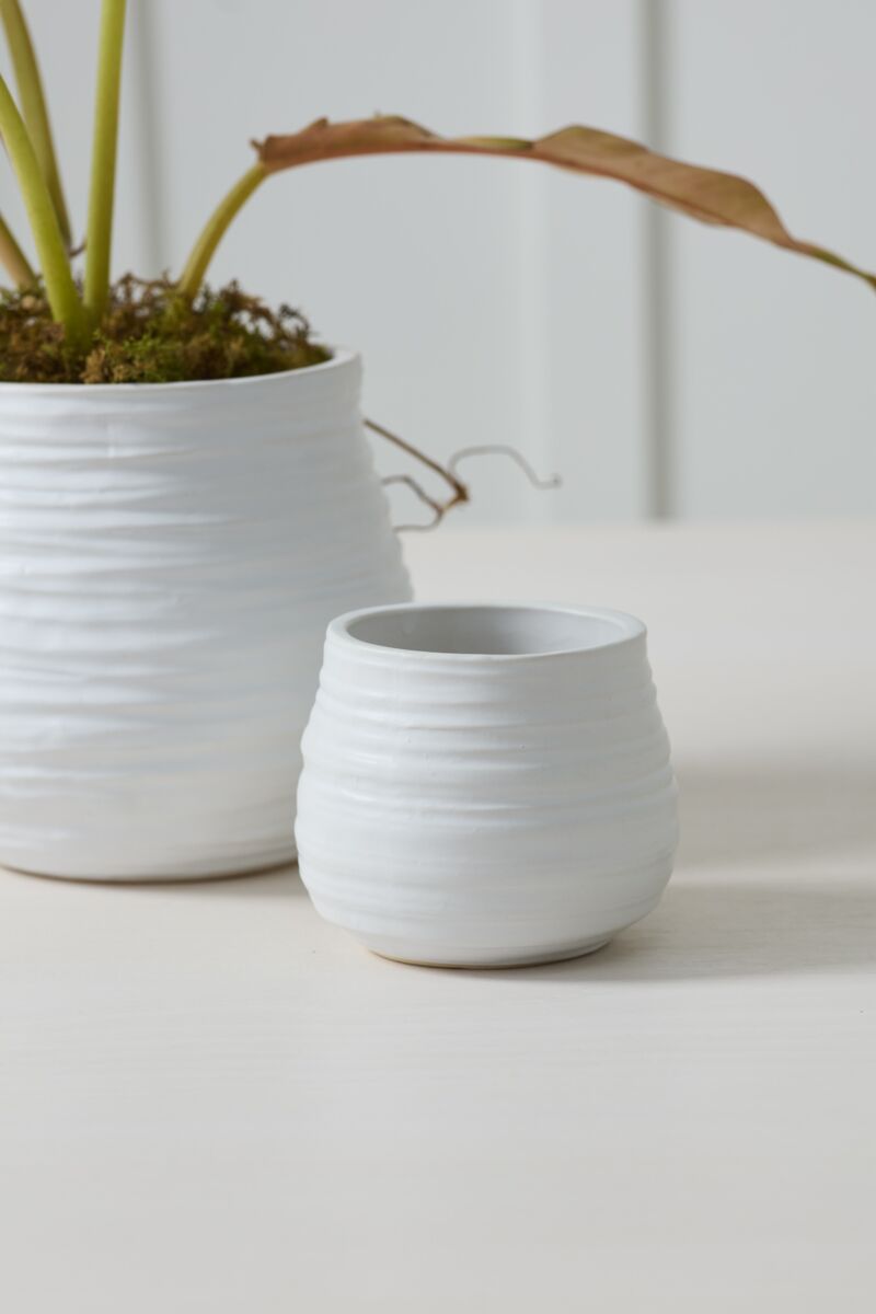 Design Shop Larkin Pot 4.25"x 3.5", Set of 4
