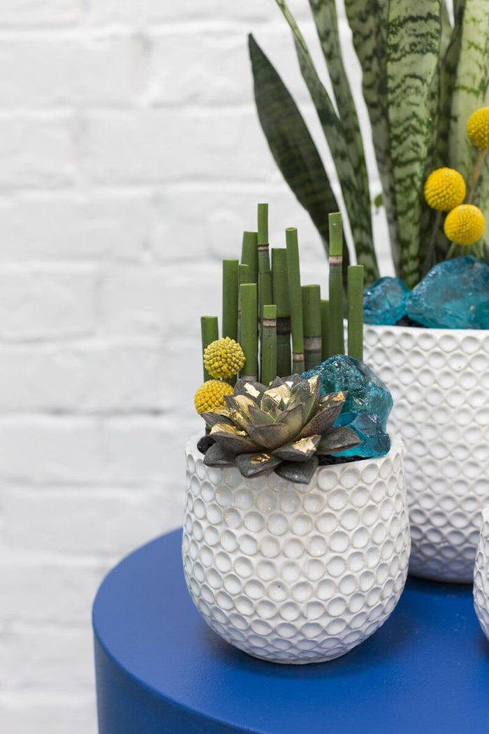 Design Shop White Ginny Pot, 3.25" X 3", Set of 6.
