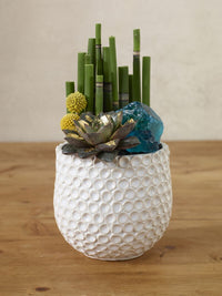 Design Shop White Ginny Pot, 4.75" X 4.5", Set of 2.
