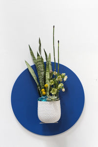 Design Shop White Ginny Pot, 6.75" X 6.5"