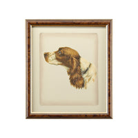 Chelsea House Danchin Cocker Spaniel