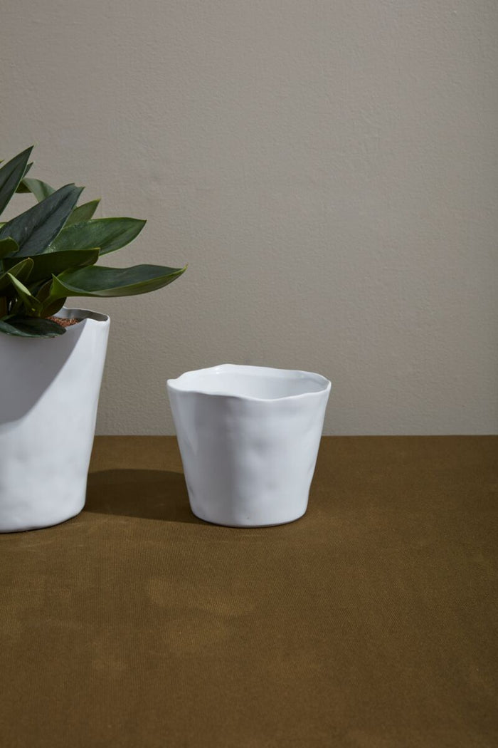 Two white ceramic cups on a wooden surface with a plant in the background.