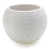 Design Shop White Spotti Pot, 5" X 4", Set of 4.