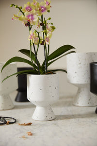 Design Shop White De Vil Pot, 4.5" X 6.25", Set of 2.