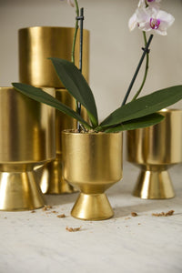 Design Shop Gold De Vil Pot 4.5"x 6.25", Set of 2