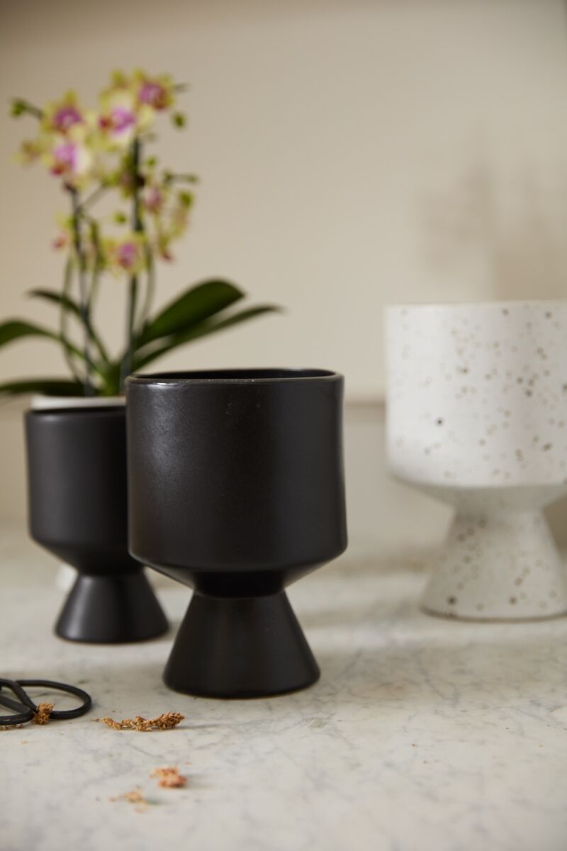 Design Shop De Vil Pot 5.25"x 7.5"