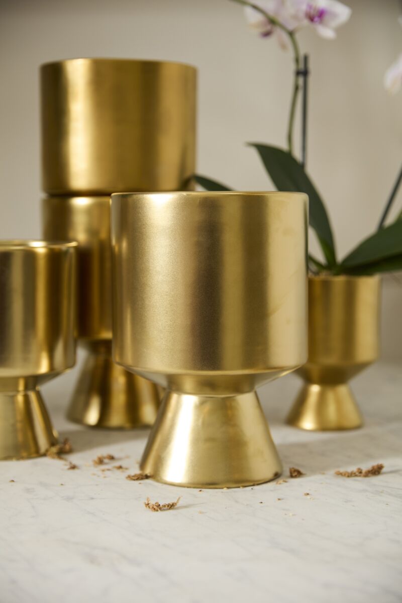 Design Shop Gold De Vil Pot 6.5"x 9.25"