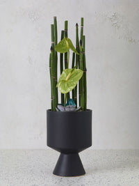Design Shop De Vil Pot 6.5"x 9.25"