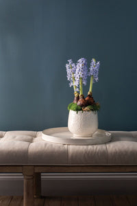 Design Shop White Francis Pot, 6" X 4.75", Set of 2.